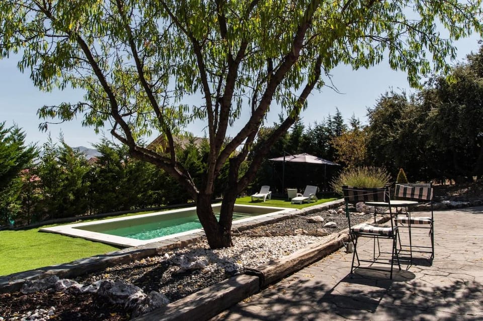 Garden view, Swimming pool