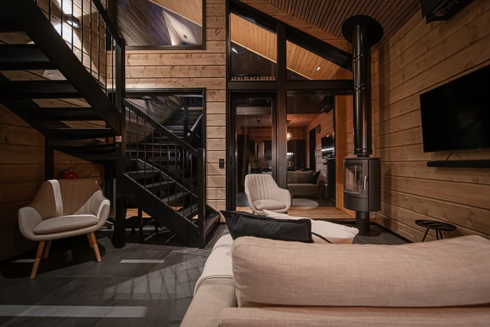 Patio, TV and multimedia, Living room, fireplace, heating, internet, air conditioner