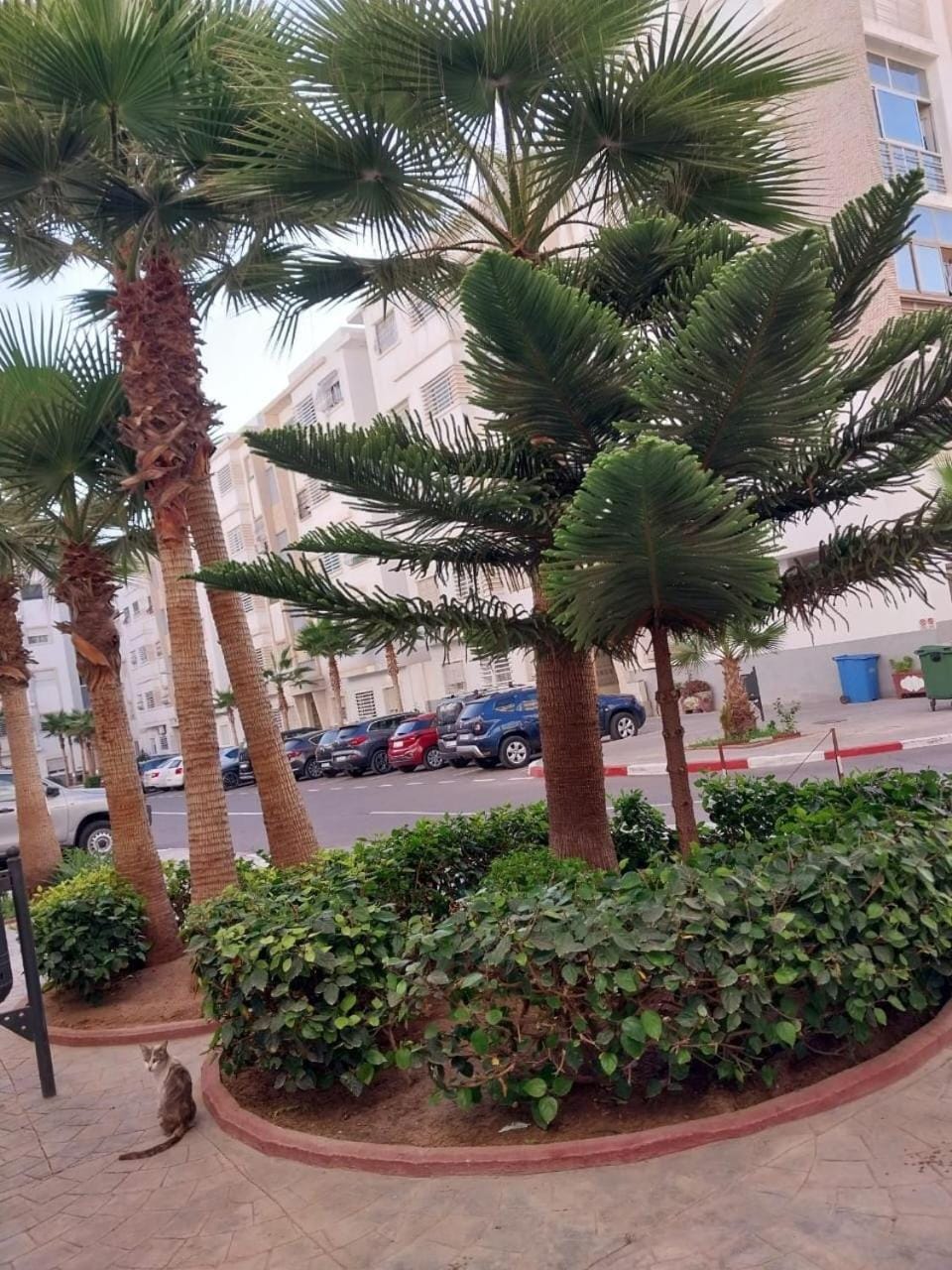 apartment for rent Apartment in Agadir