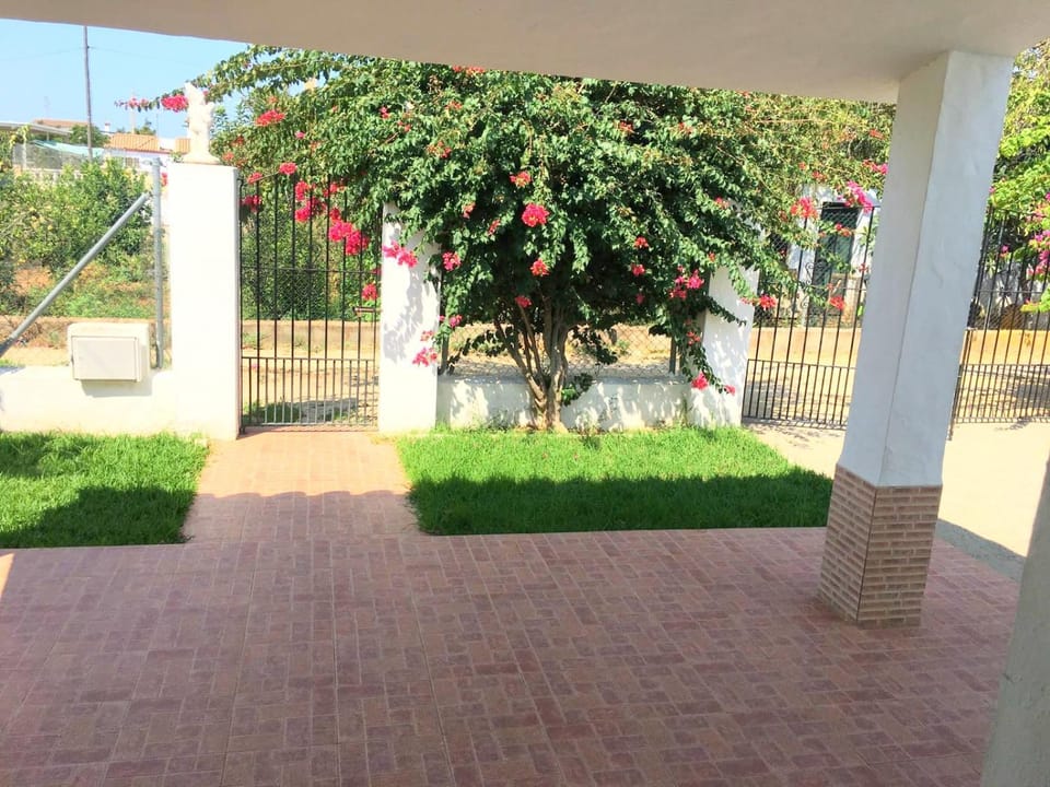 Patio, Garden, Balcony/Terrace, Lobby or reception, Pets, Garden view