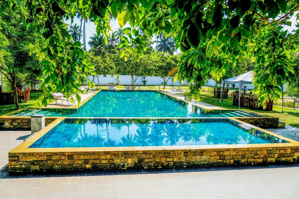 Day, Natural landscape, Garden, Garden view, Pool view, Swimming pool, sunbed