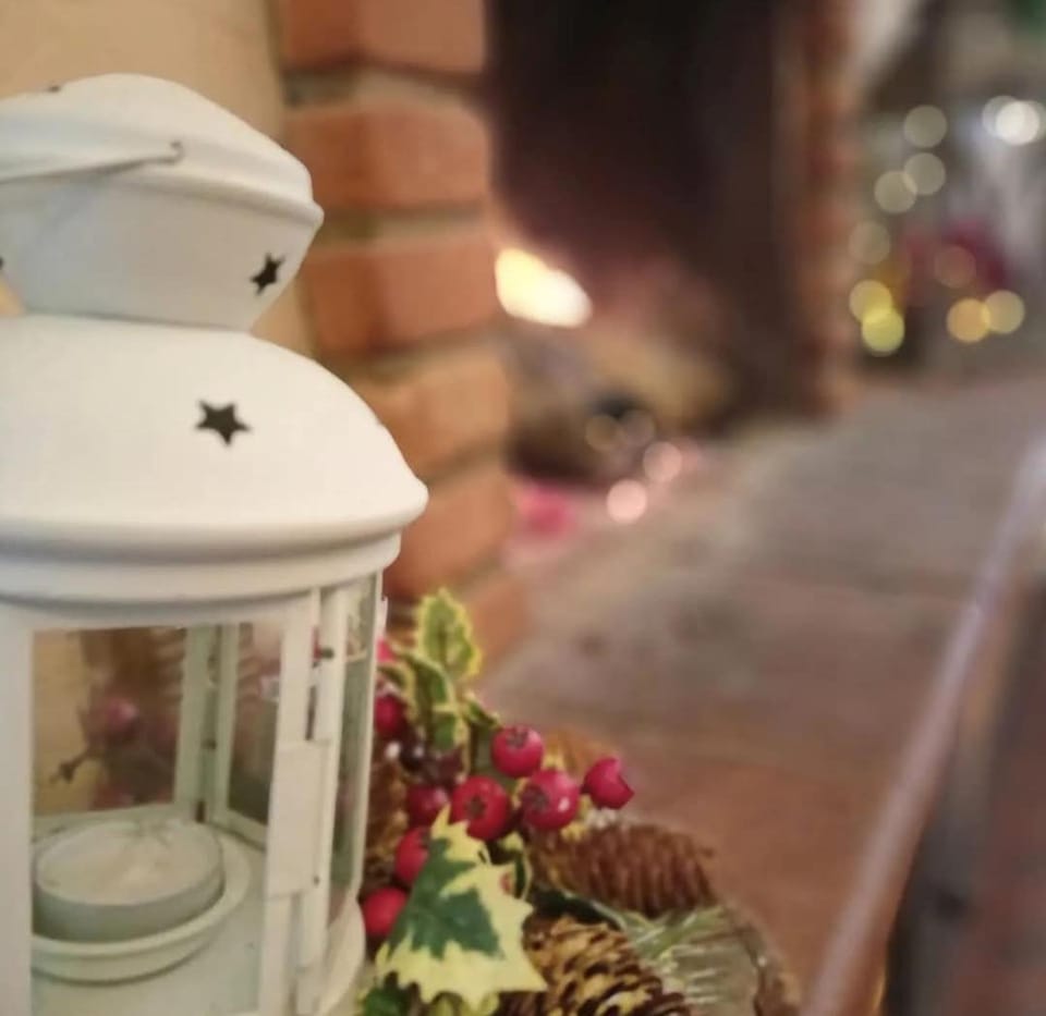 Affittacamere il 44 Parallelo Pistoia Bed and Breakfast in Pistoia