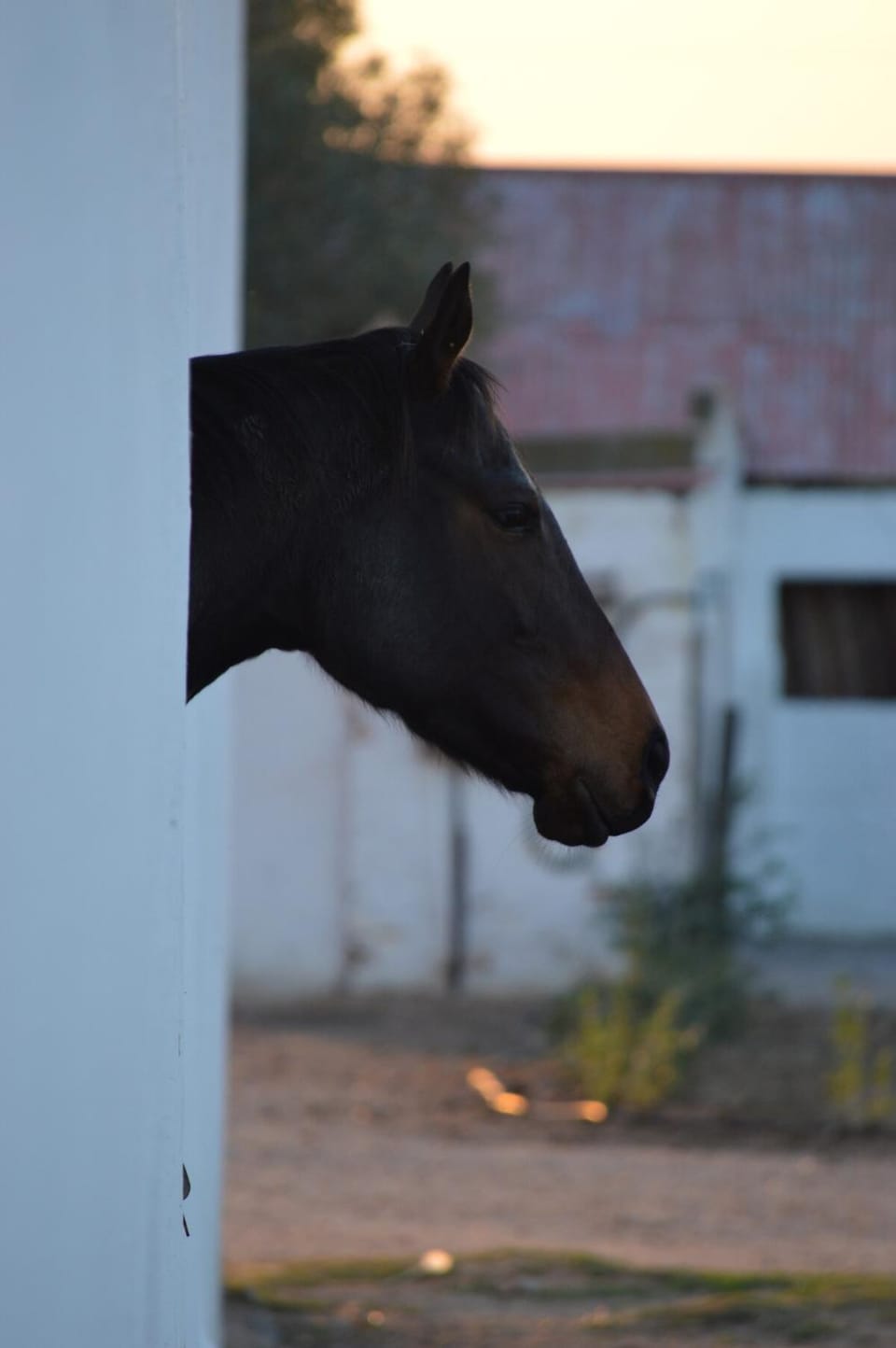 The Old Dairy at Allemanskloof Apartment in Cape Town