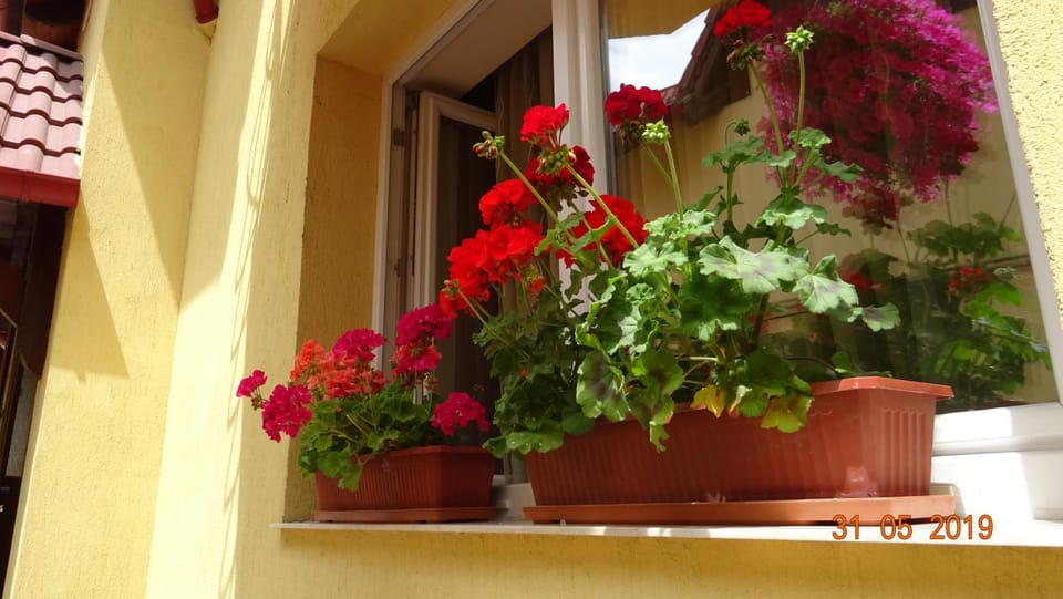 Facade/entrance, Decorative detail