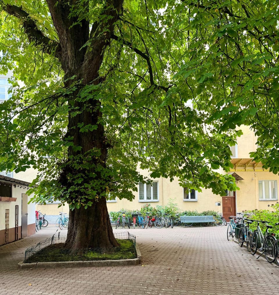 Neighbourhood