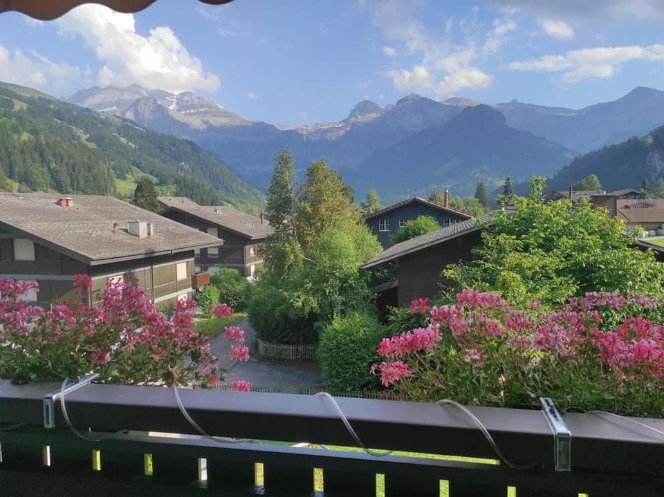 Mountain view