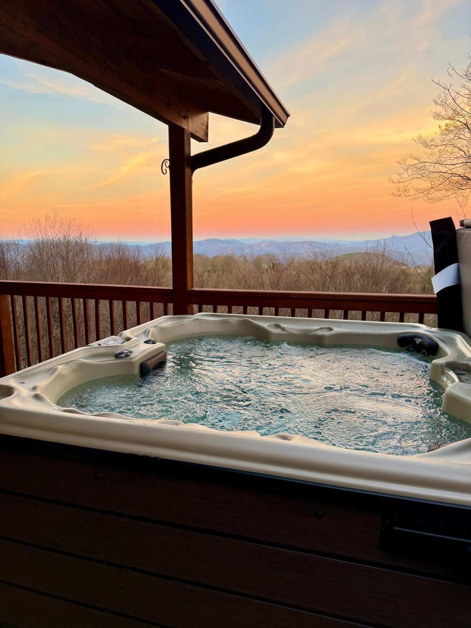 Paws at the Peak House in Beech Mountain
