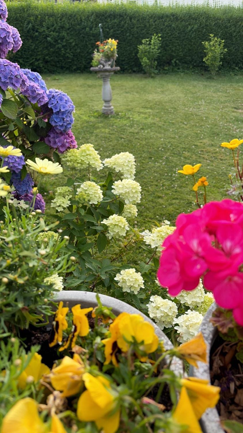 Garden, Garden view