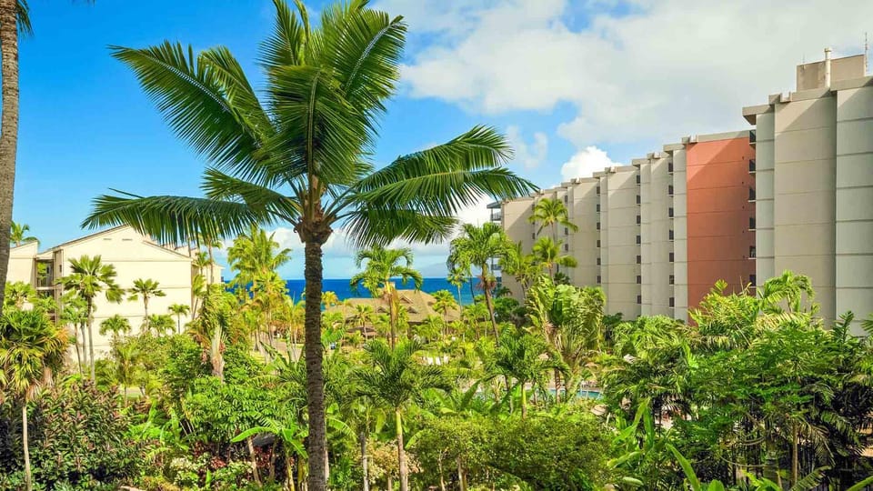 Kaanapali Shores 435 Apartment in Kaanapali