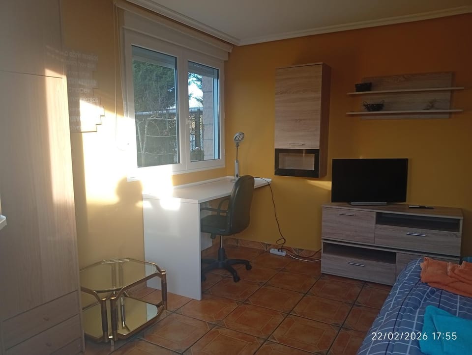 Bed, TV and multimedia, Seating area