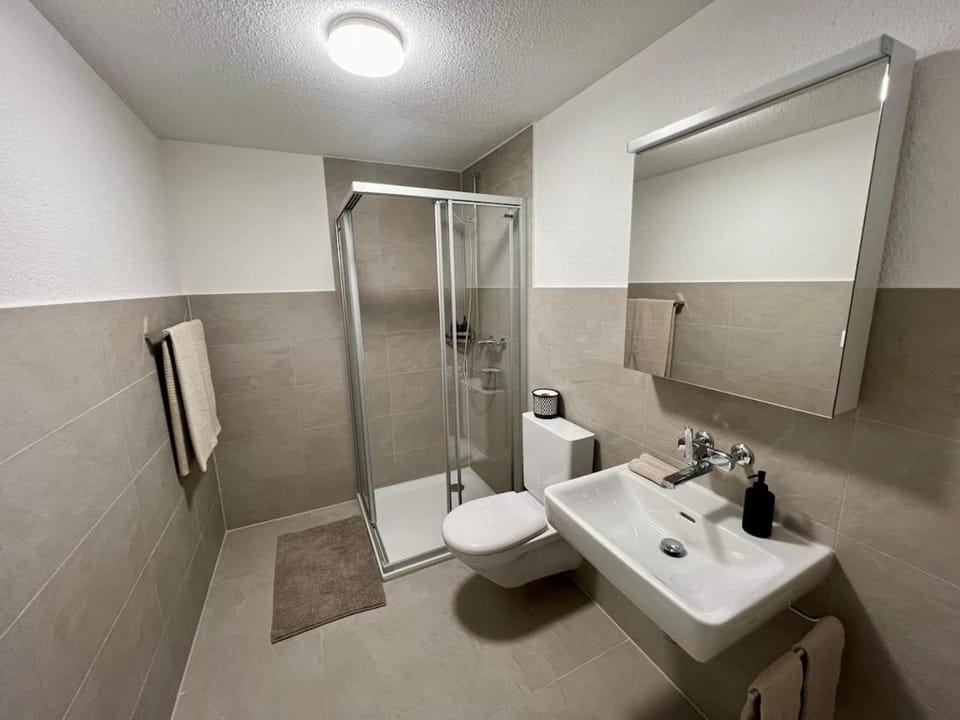 Shower, Toilet, Bathroom, towels