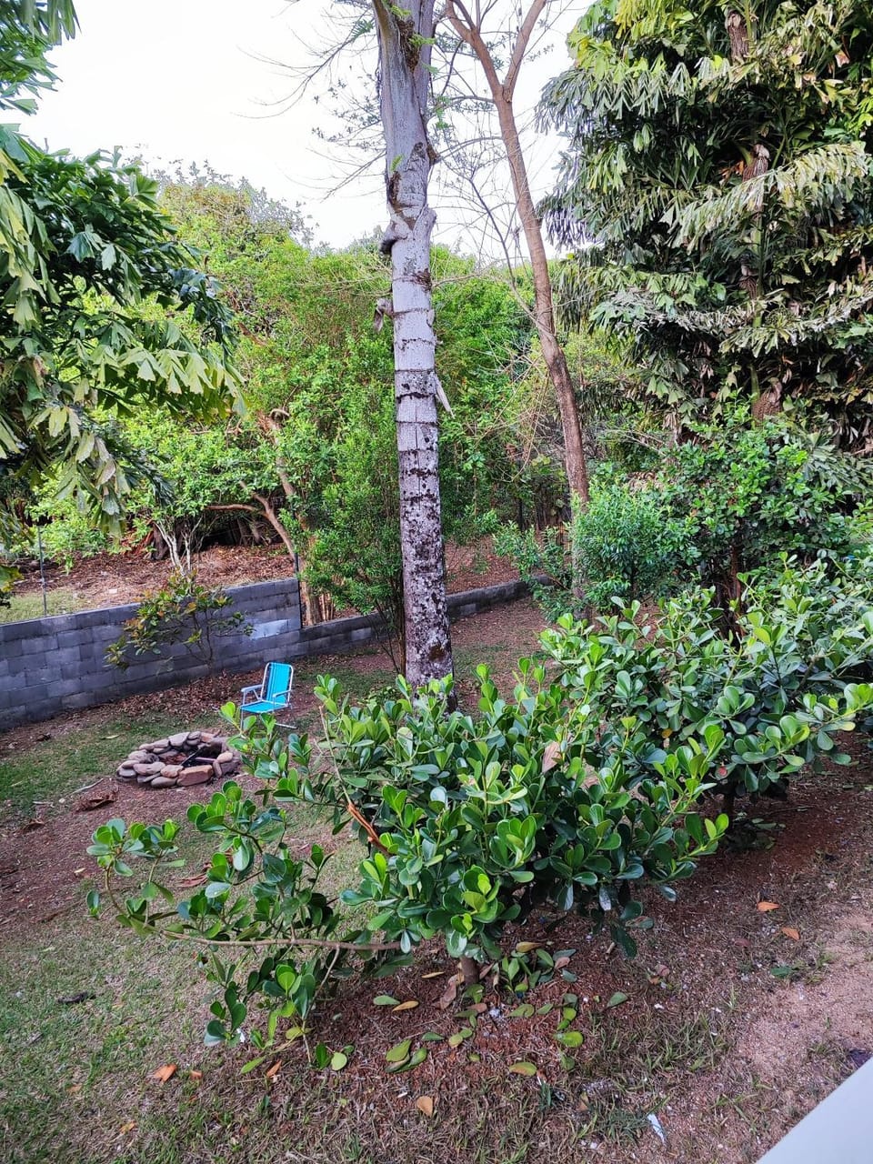 5 Star Nature Escape near the airport House in State of Goiás