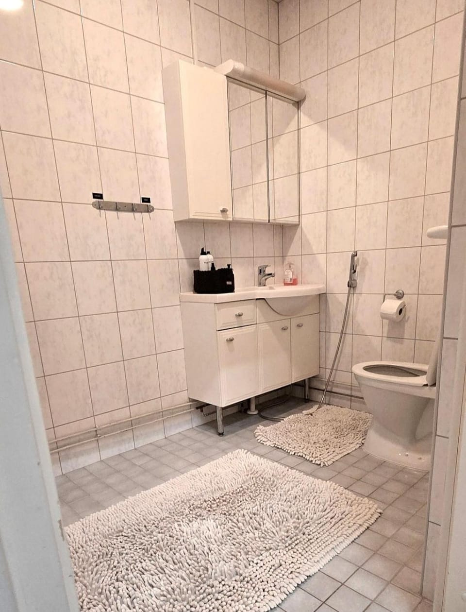 Toilet, bidet
