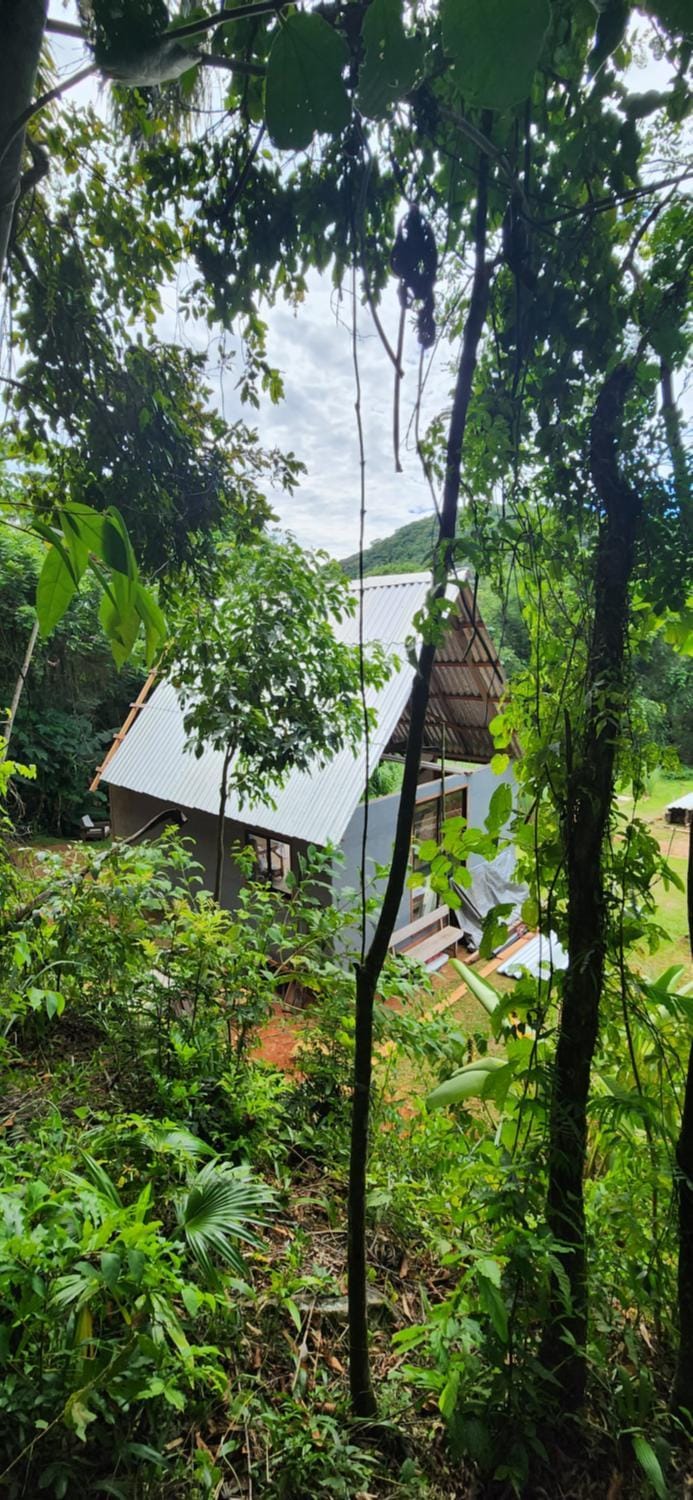 Eco Bamboo House Chalet in Florianopolis