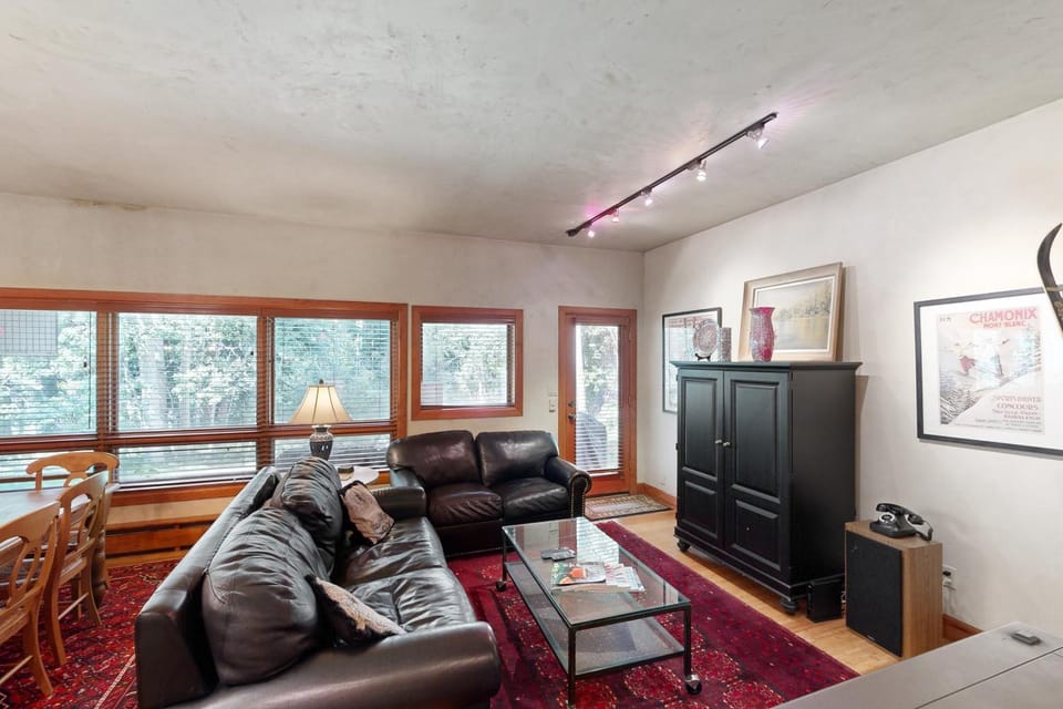 Pitkin Creek Park 1B Apartment in Vail