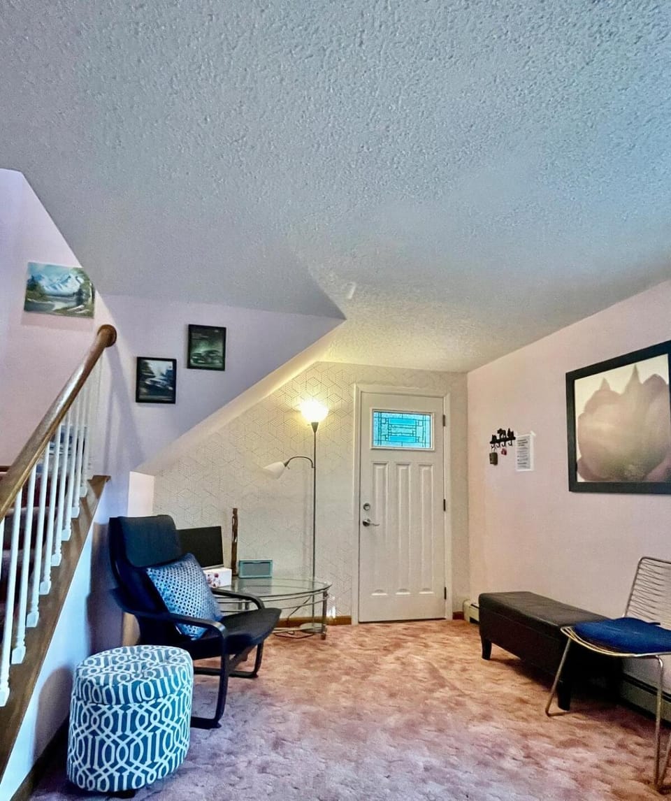 Cozy Loft in Amherst NY No Pet Apartment in New York