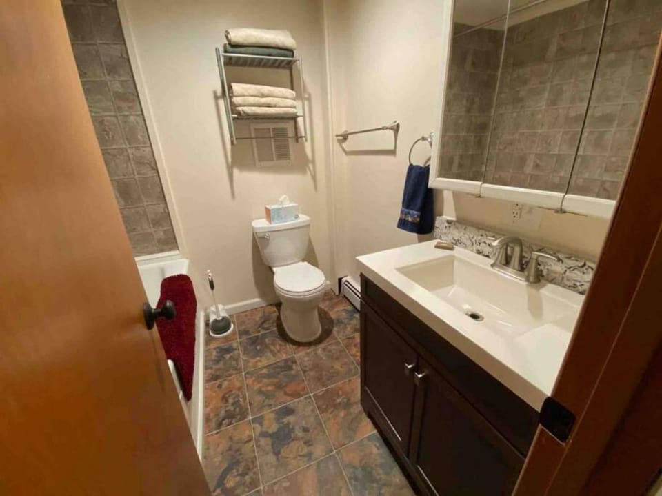 Moose 2 bedroom lower, close to downtown Apartment in Fairbanks