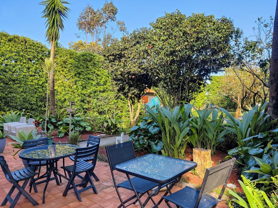 Patio, Spring, Day, Garden, Garden view