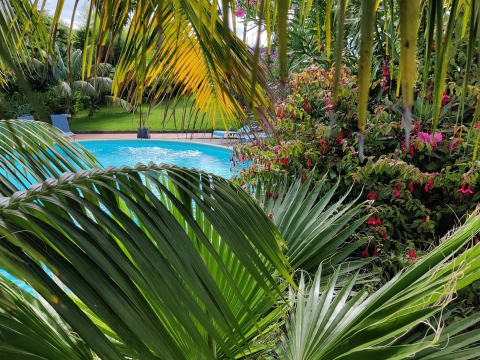 Garden, Garden view, Swimming pool
