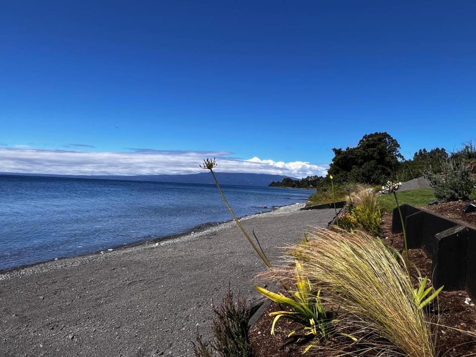 Lake view