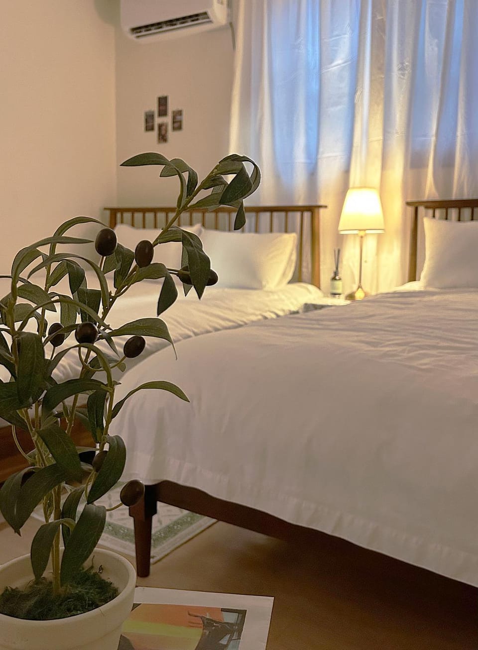 Bed