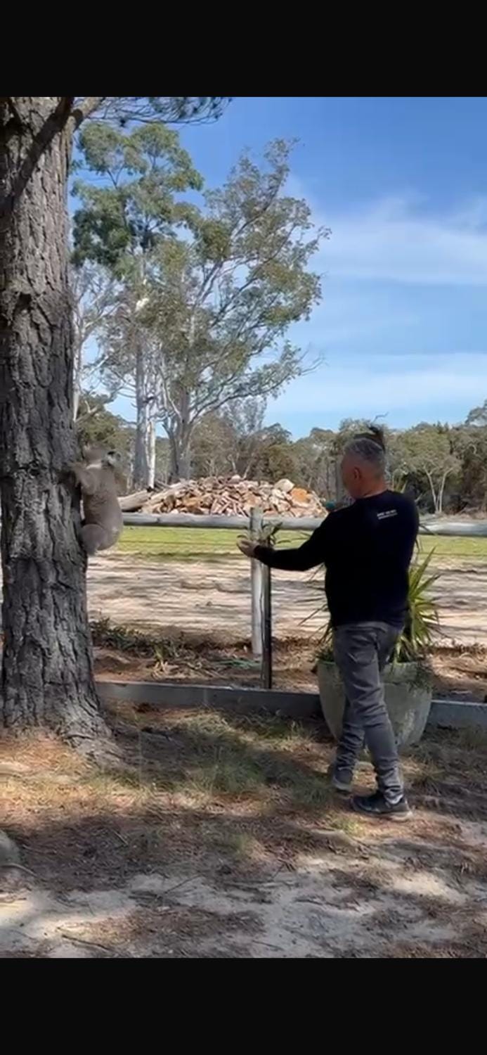 Wolf Ridge - Farm Stay House in New South Wales