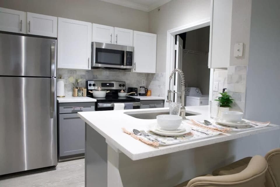 Stylish 1BR Escape Ideal for Business or Leisure Apartment in The Woodlands