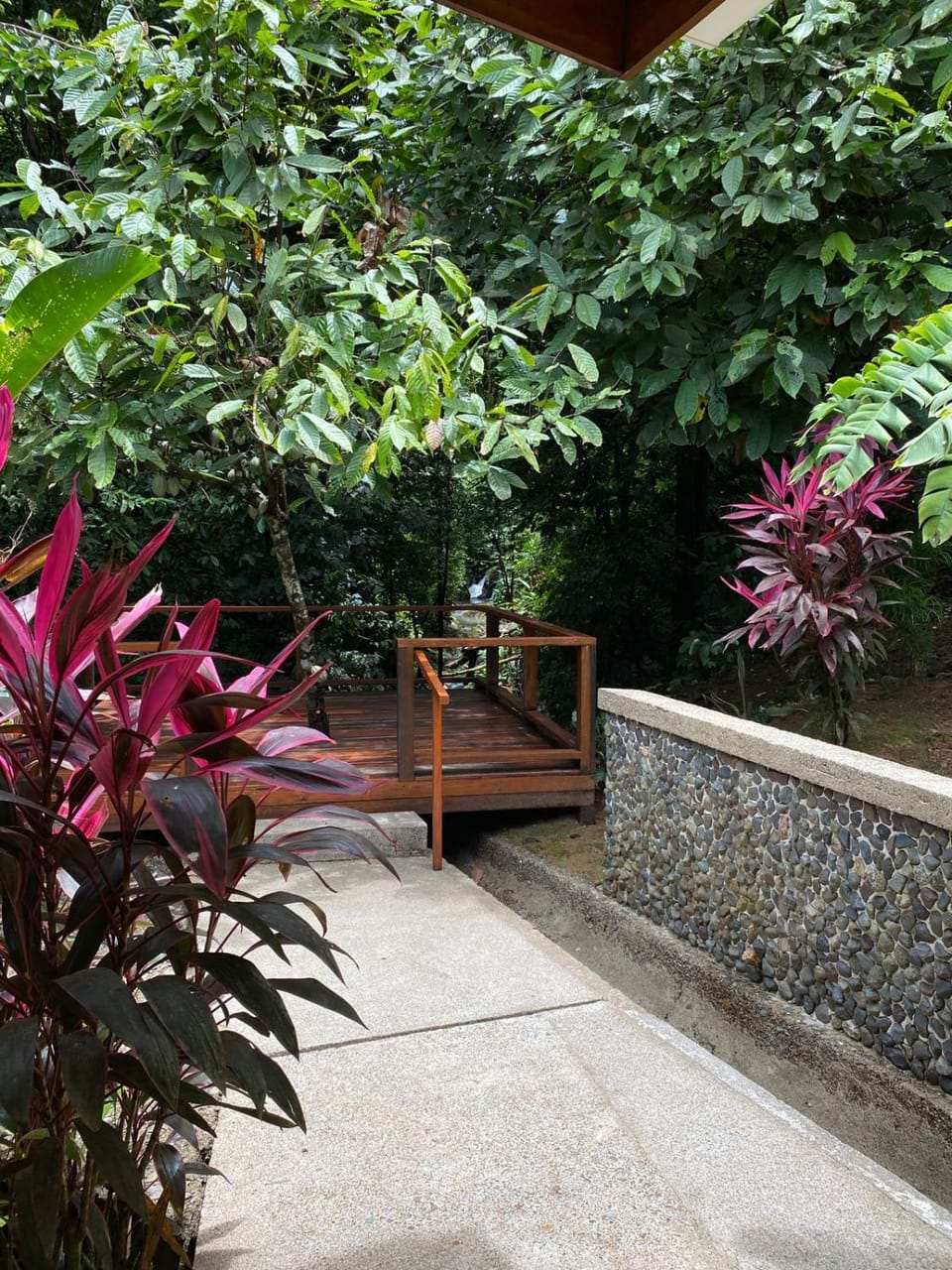 Garden view