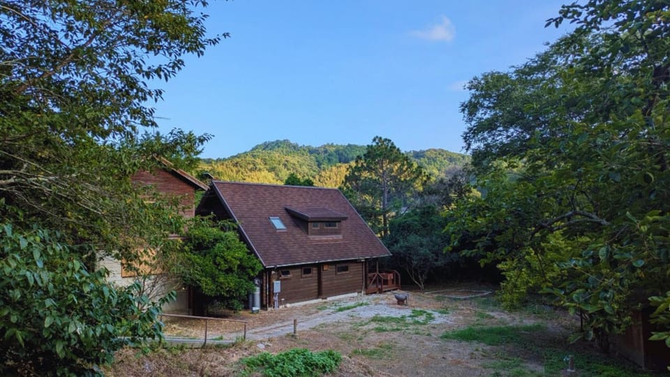 Property building, Garden