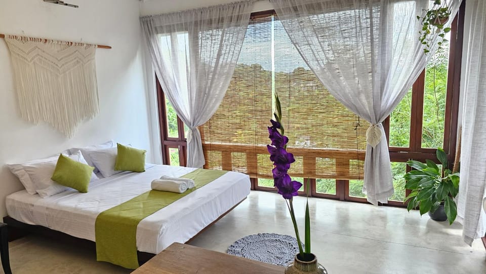 Bed, Living room, Photo of the whole room