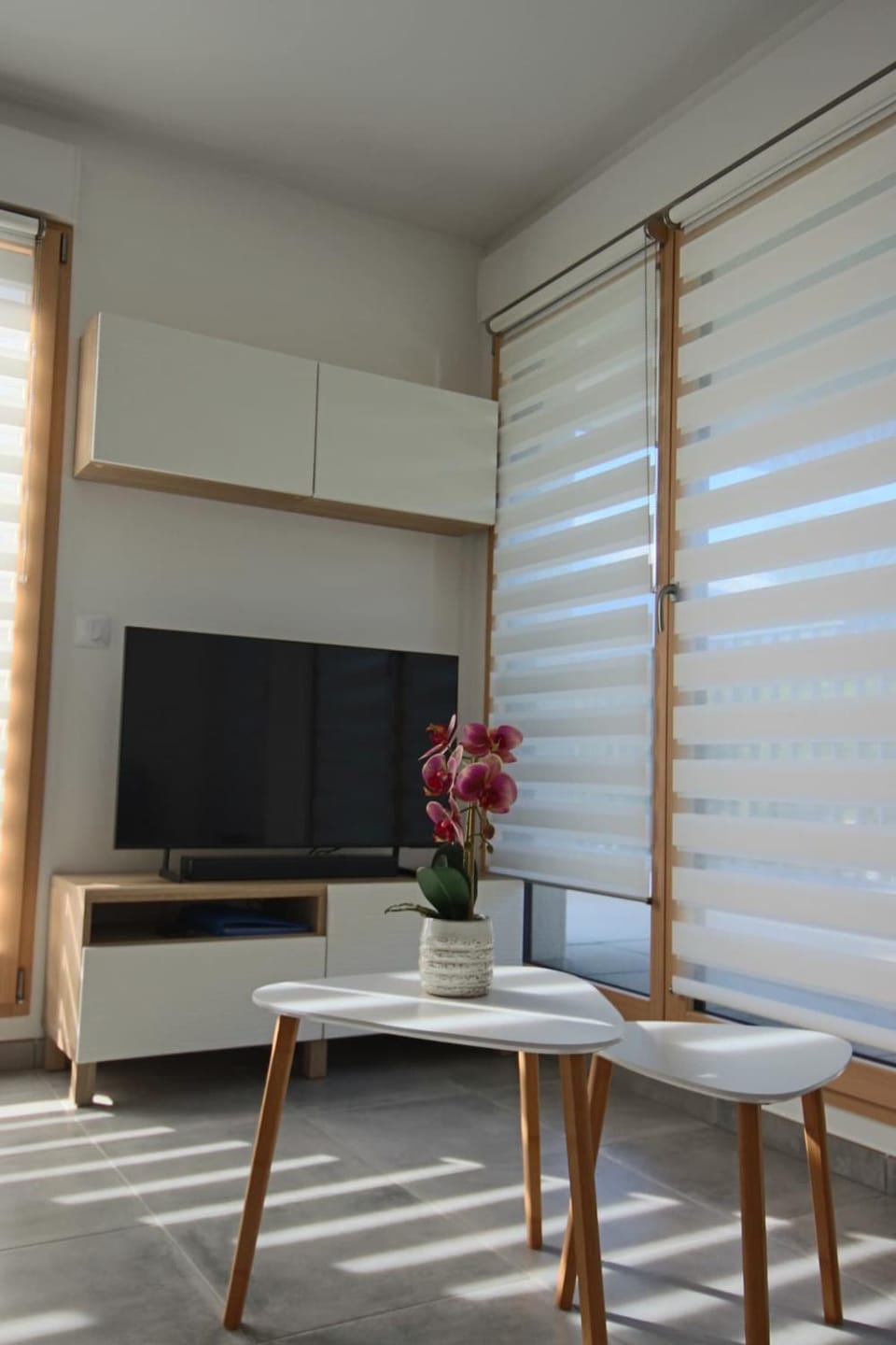 TV and multimedia, internet