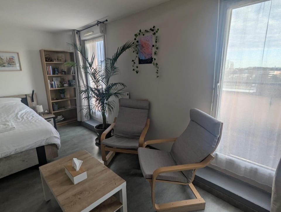 Appartement cosy, calme et lumineux à Strasbourg Apartment in Eckbolsheim