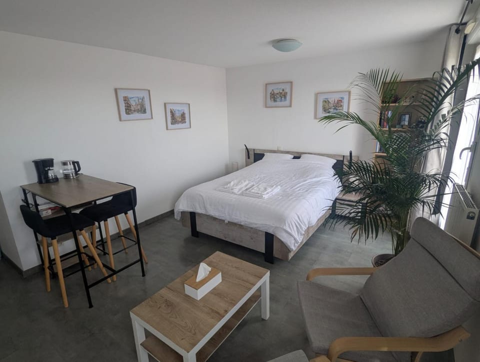 Appartement cosy, calme et lumineux à Strasbourg Apartment in Eckbolsheim