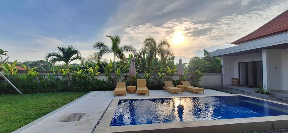Natural landscape, Garden, Garden view, Pool view, Swimming pool