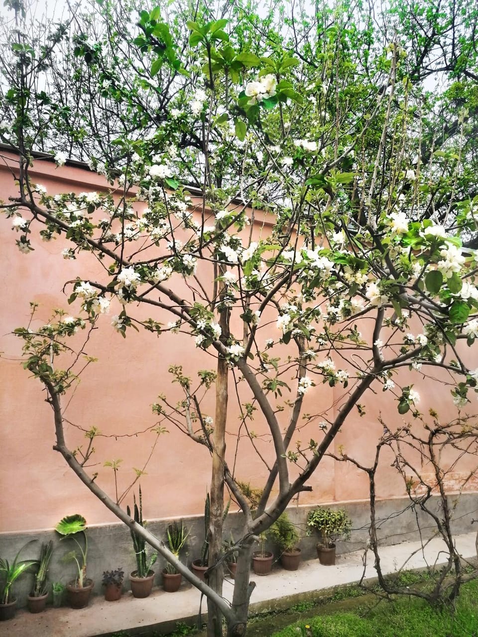 Inner courtyard view