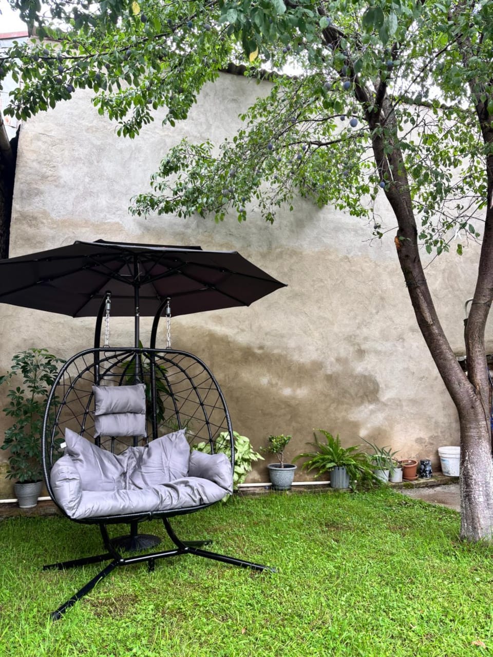 Day, Garden, Garden view