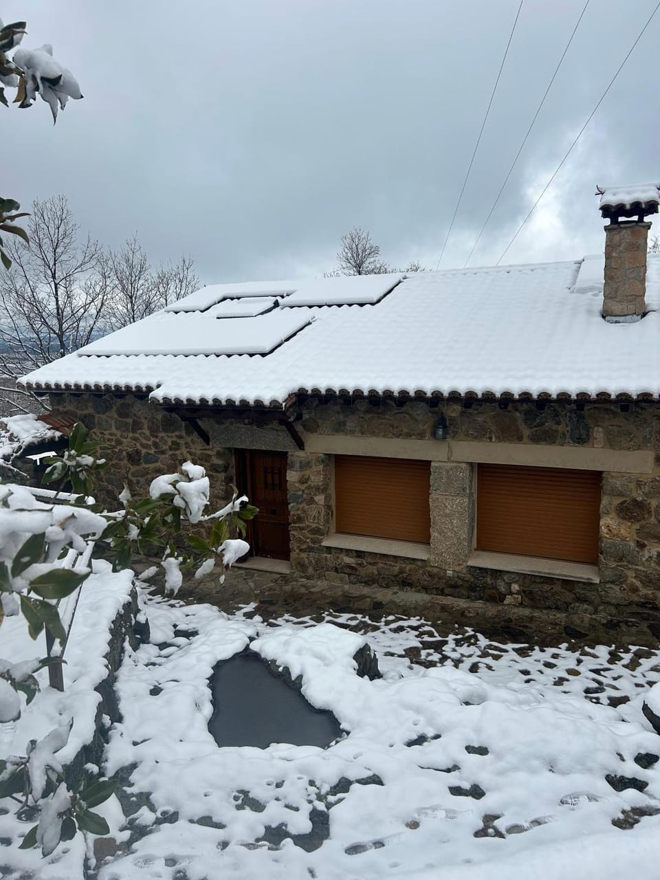 Winter