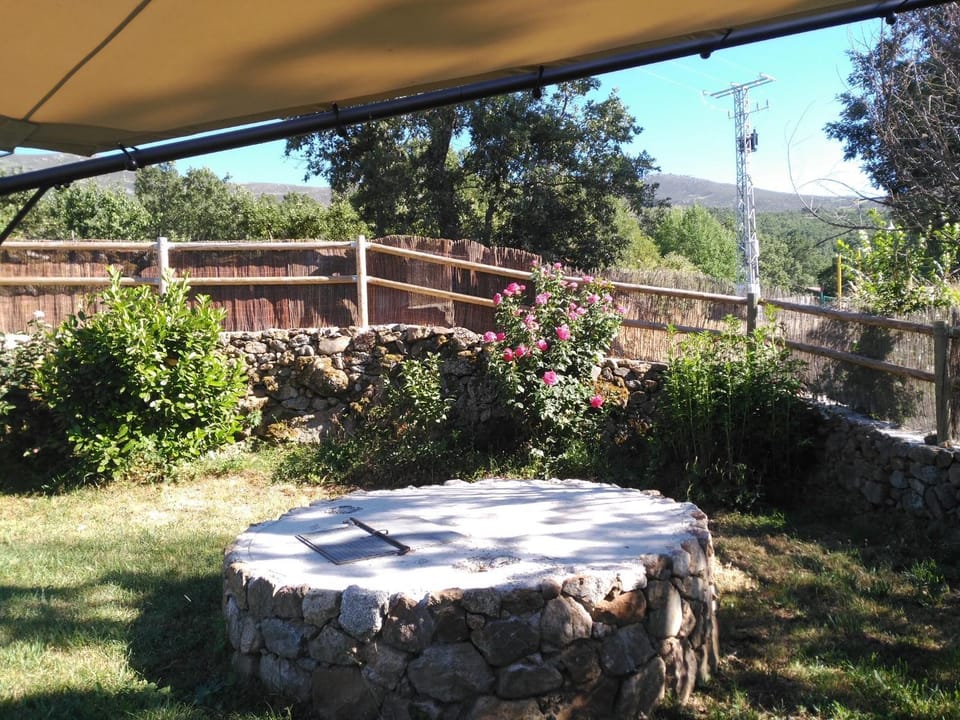 Garden, Garden