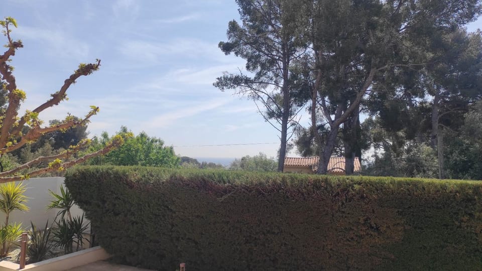 Natural landscape