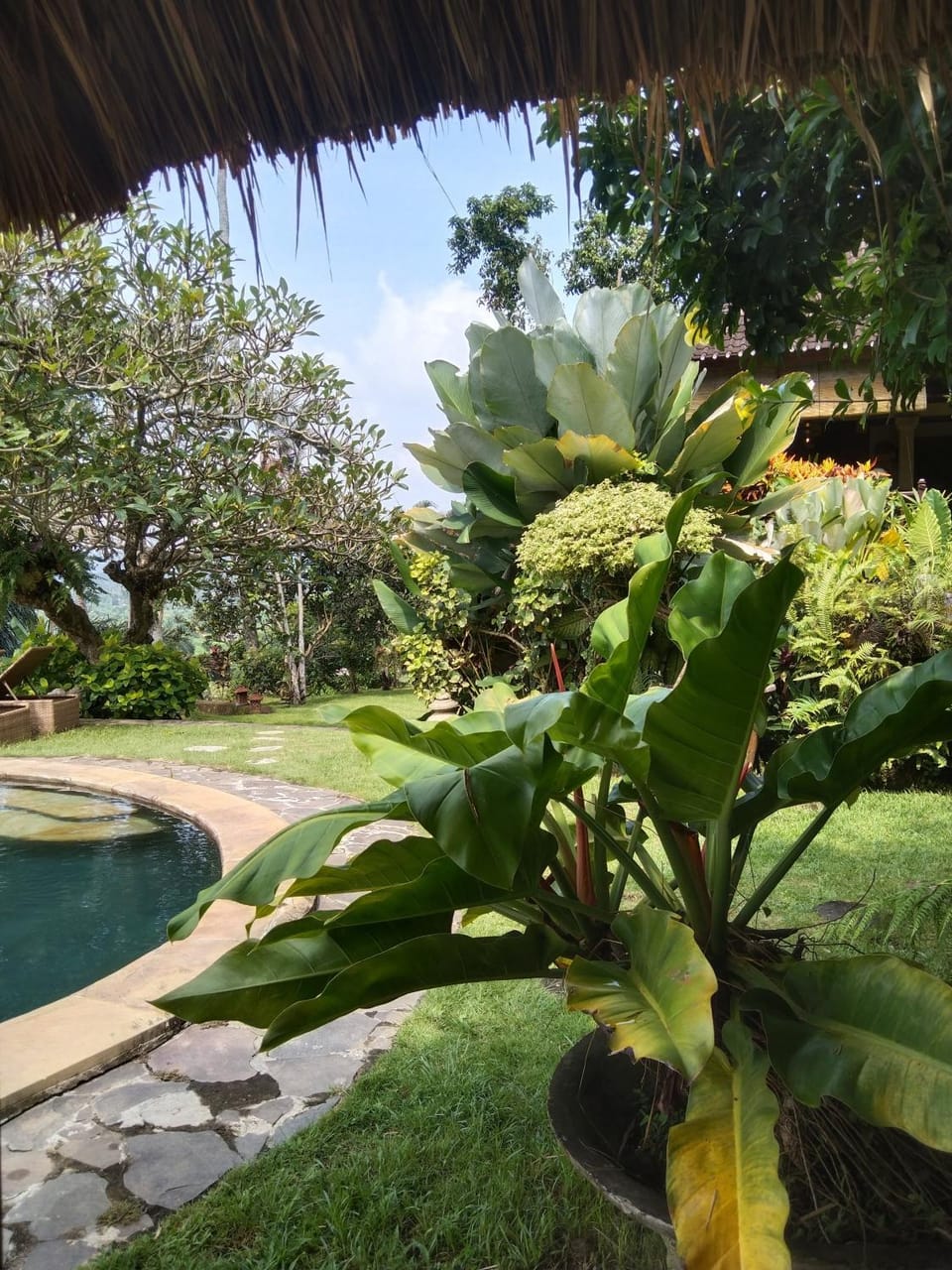 Kubu carik homestay Vacation rental in Abang