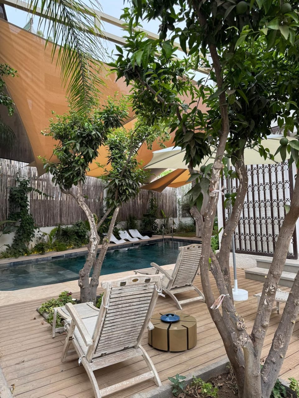 Patio, Day, Natural landscape, Garden, Garden view, Pool view, Swimming pool, sunbed