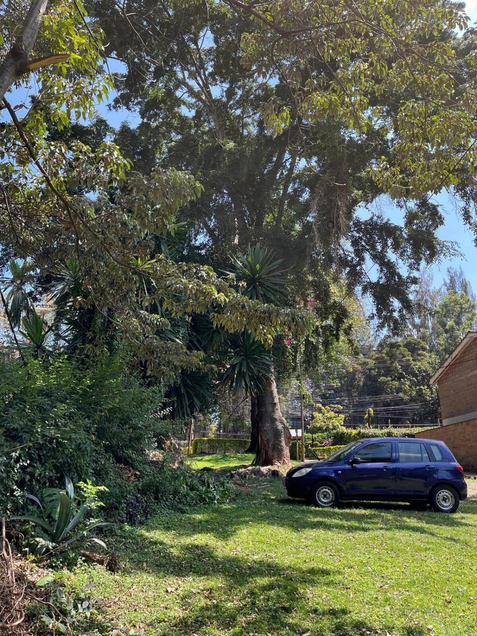 Garden view