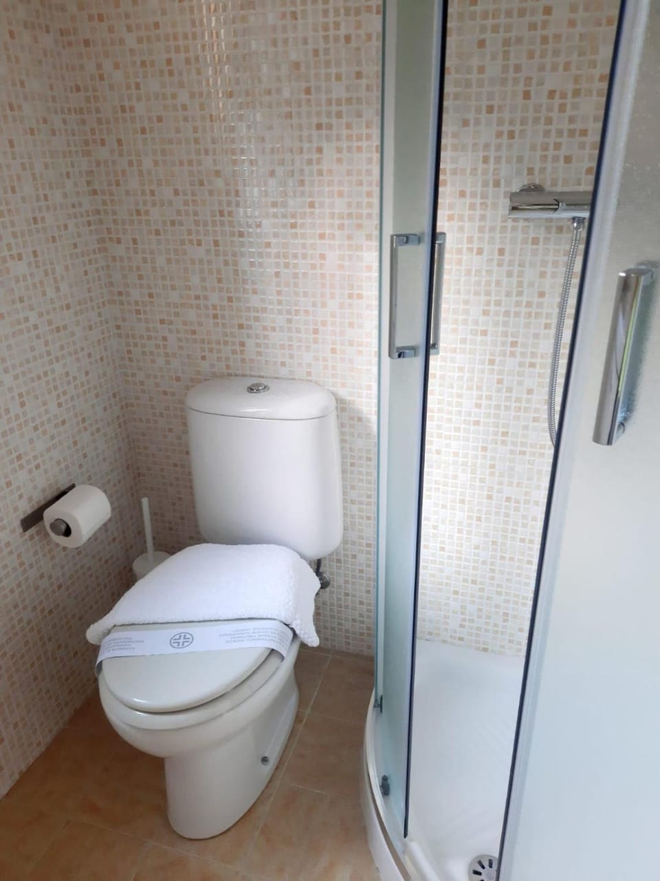 Shower, Toilet