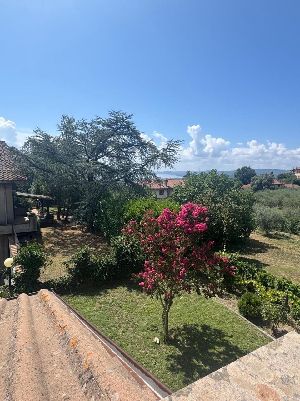 Natural landscape, Garden, Garden view