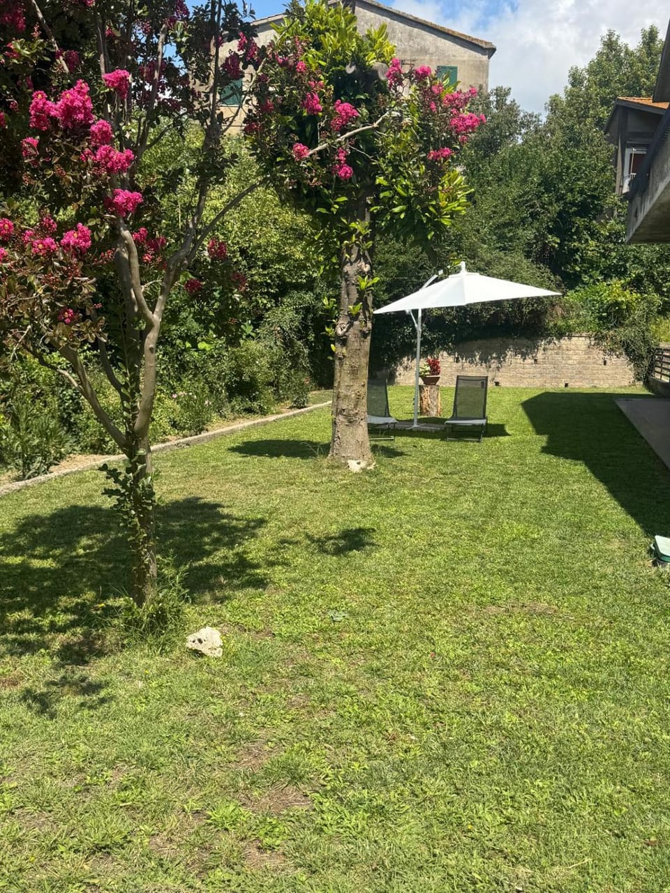 Natural landscape, Garden, Garden view