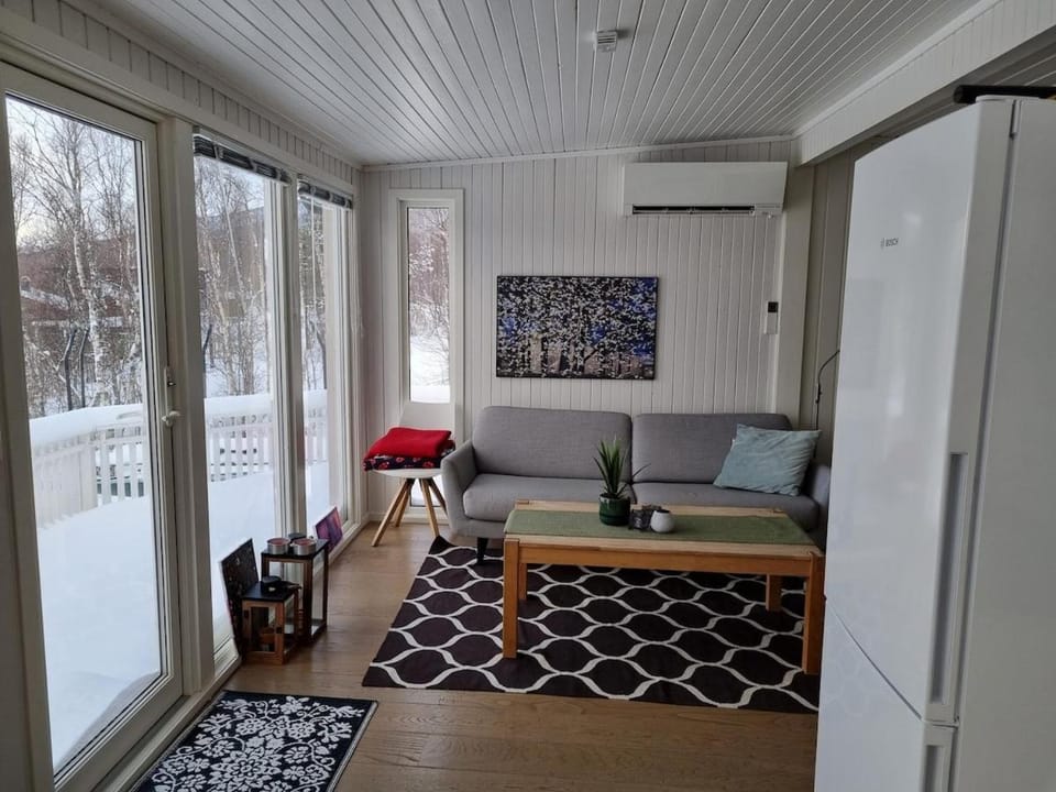 Winter, Living room, Seating area, air conditioner