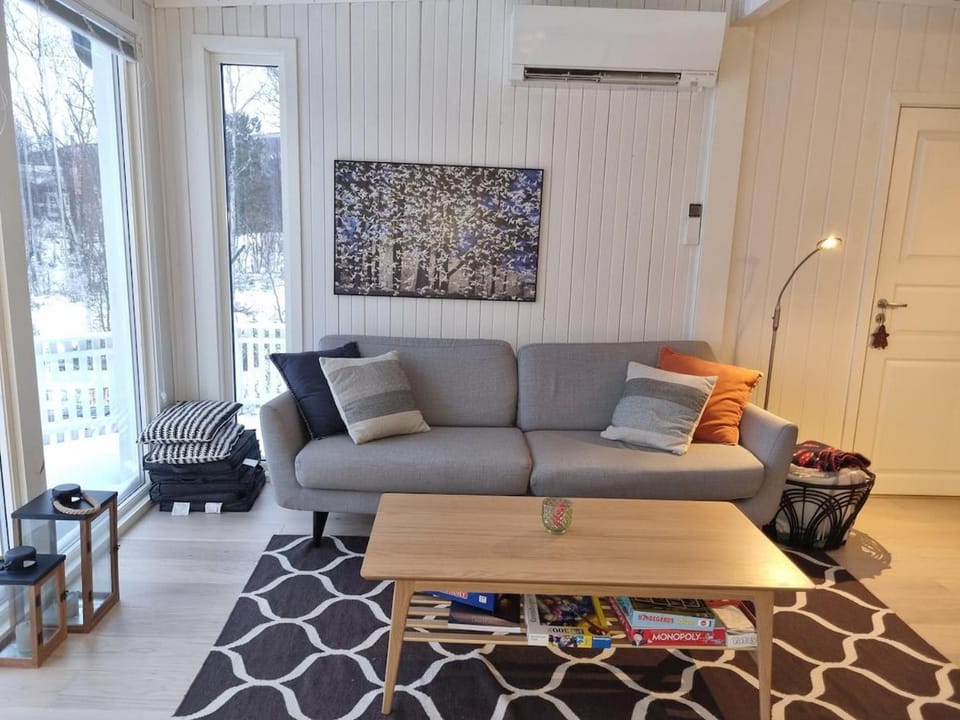 Living room, Seating area, air conditioner