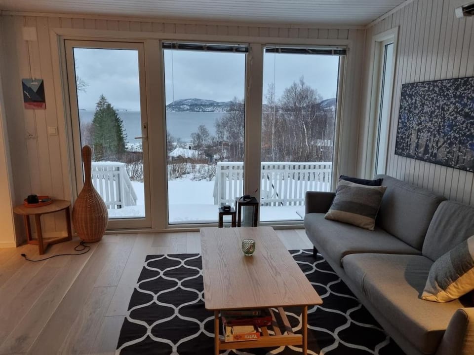 Winter, Lake view
