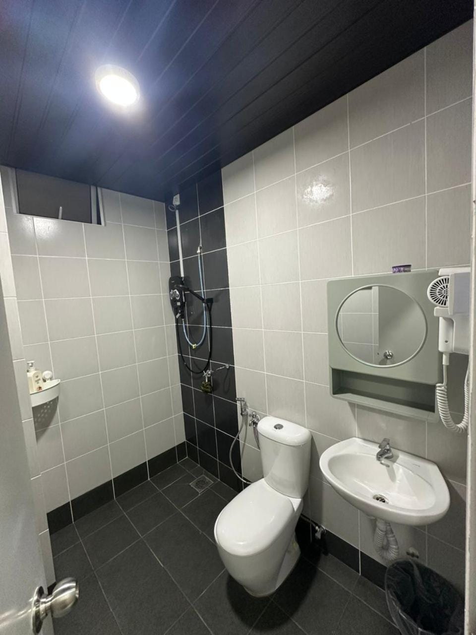 Shower, Toilet, Bathroom, bidet