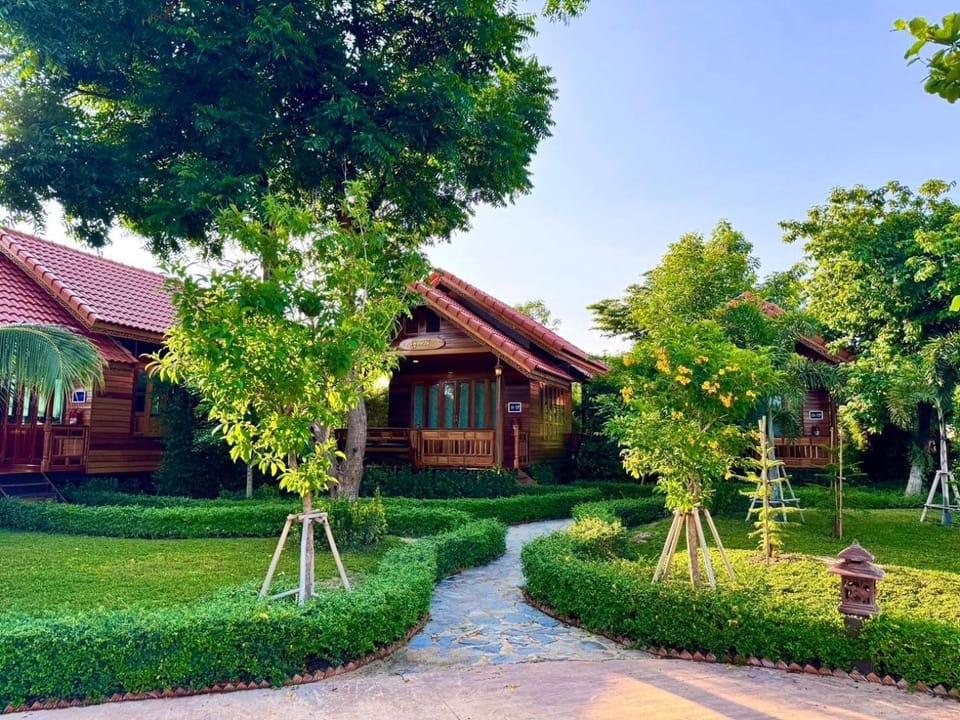 Property building, Day, Garden